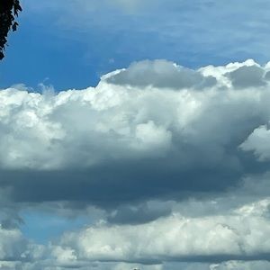 Meet your Posher, Kaitlin